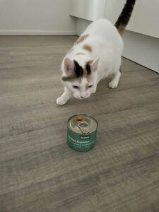 Toulouse en catfuel Toulouse en catfuel